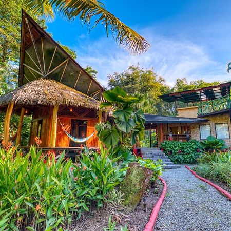 Tree House Beachfront Lodge Puerto Viejo de Talamanca Kültér fotó