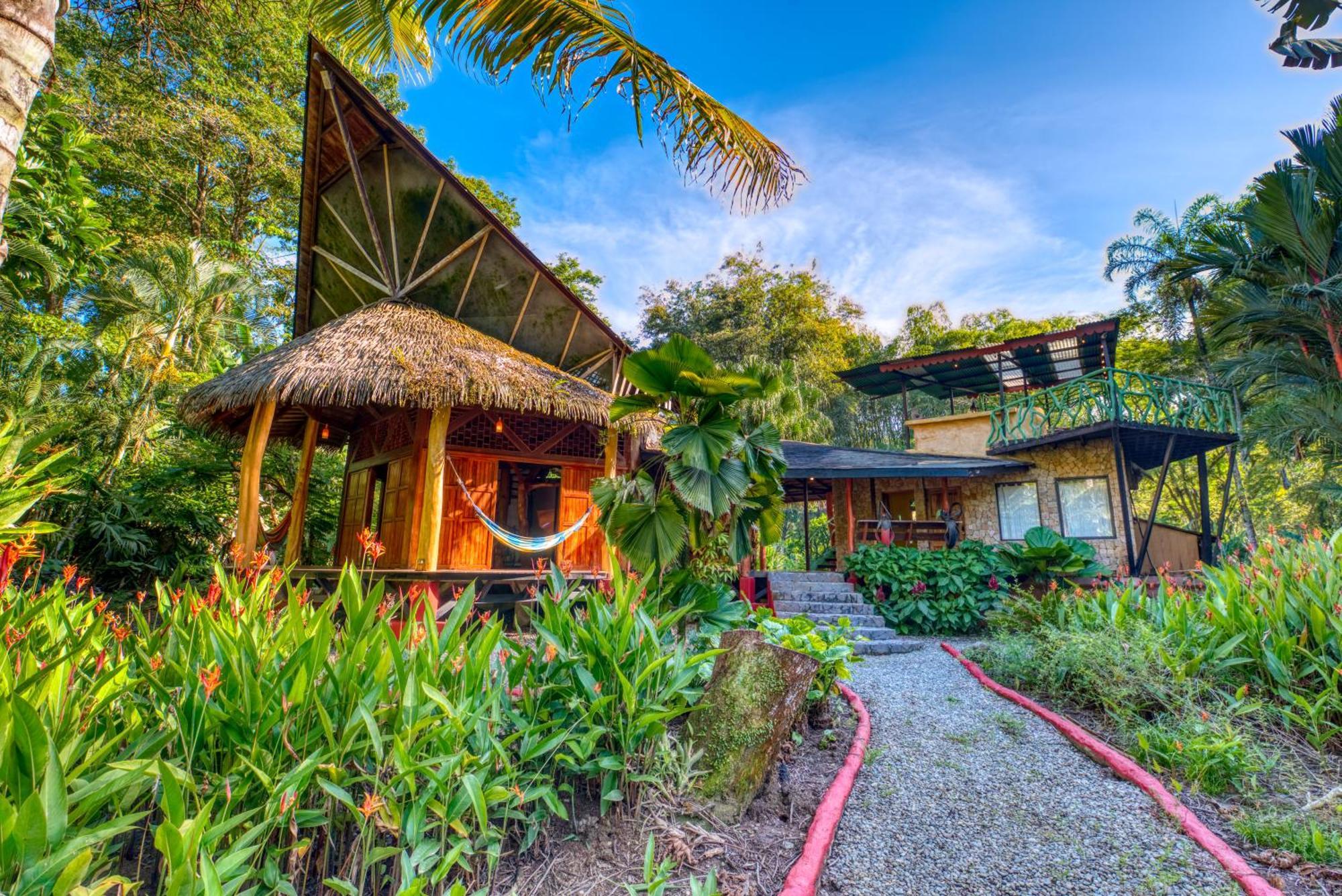 Tree House Beachfront Lodge Puerto Viejo de Talamanca Kültér fotó