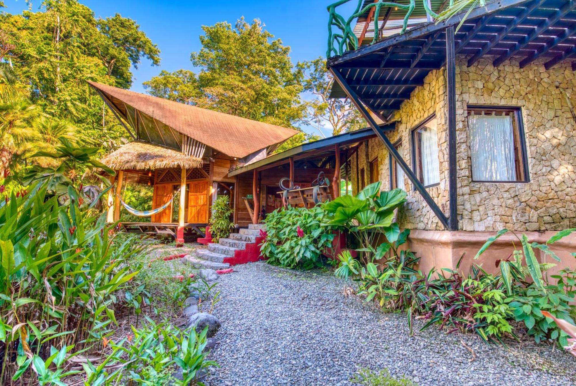 Tree House Beachfront Lodge Puerto Viejo de Talamanca Kültér fotó