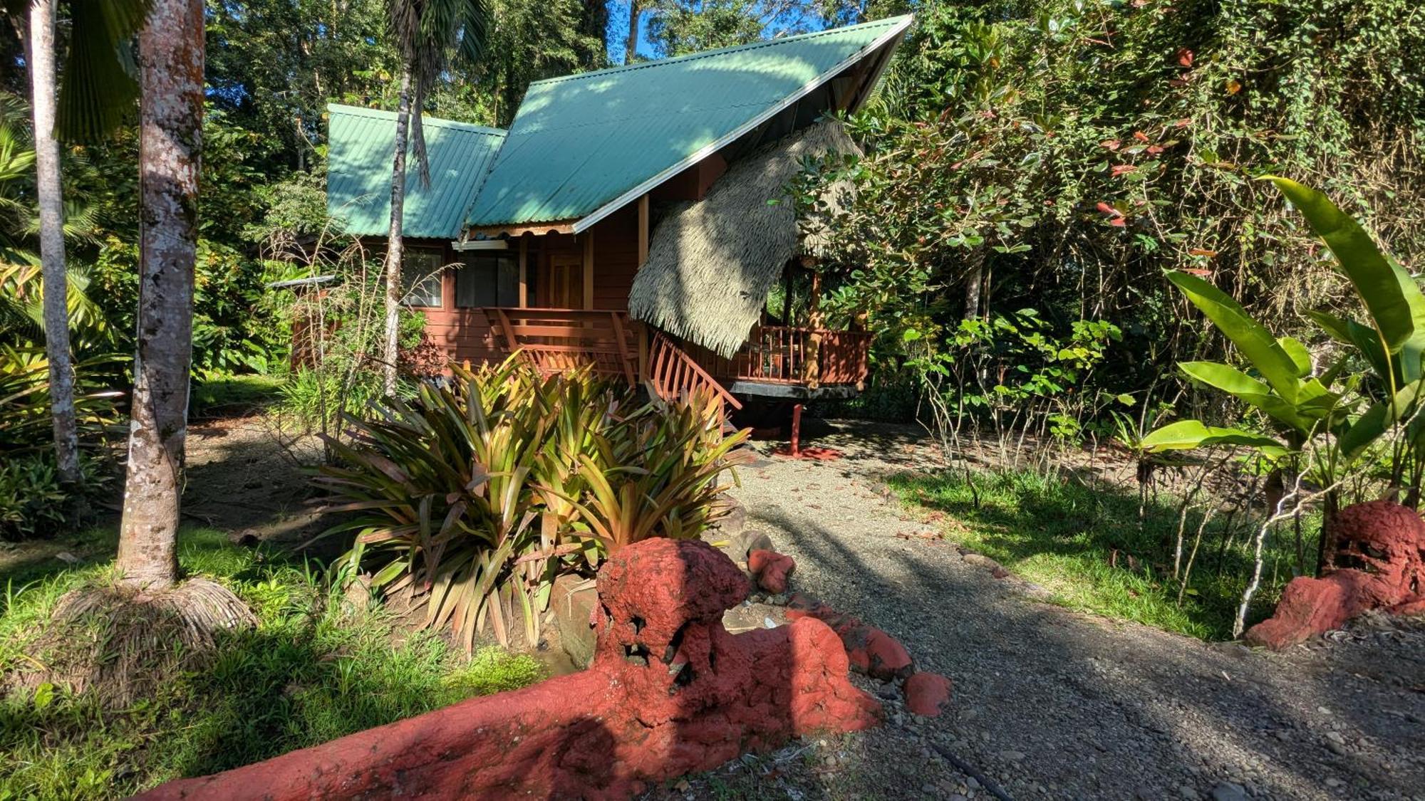 Tree House Beachfront Lodge Puerto Viejo de Talamanca Kültér fotó