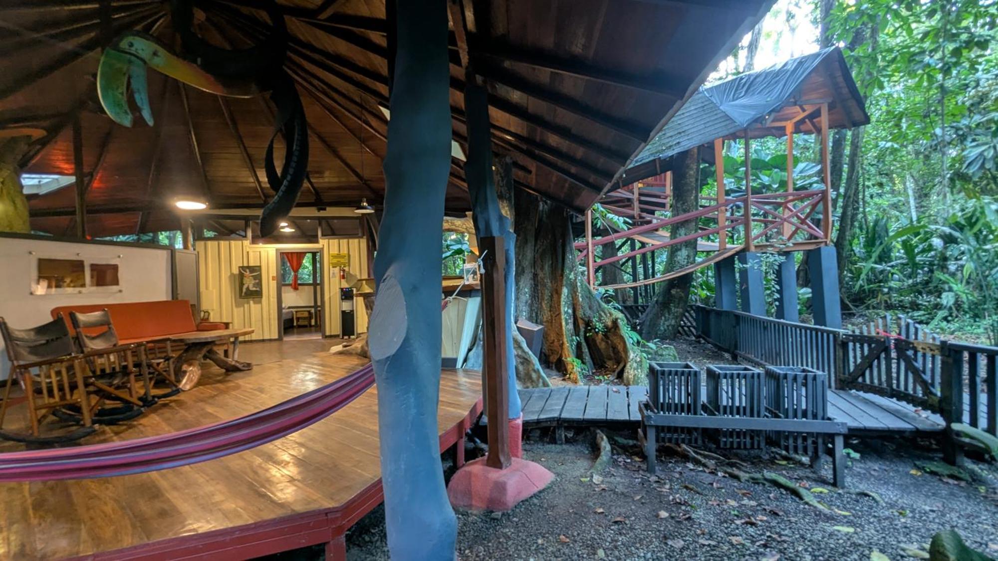 Tree House Beachfront Lodge Puerto Viejo de Talamanca Kültér fotó