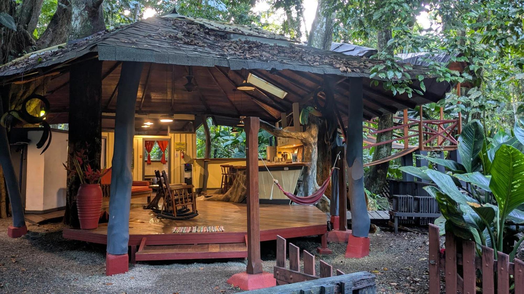 Tree House Beachfront Lodge Puerto Viejo de Talamanca Kültér fotó