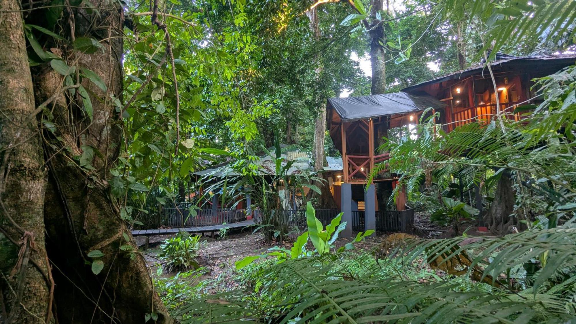 Tree House Beachfront Lodge Puerto Viejo de Talamanca Kültér fotó
