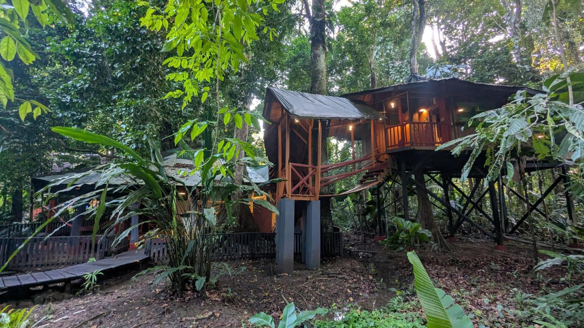 Tree House Beachfront Lodge Puerto Viejo de Talamanca Kültér fotó